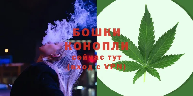 где продают   Островной  Бошки марихуана SATIVA & INDICA 